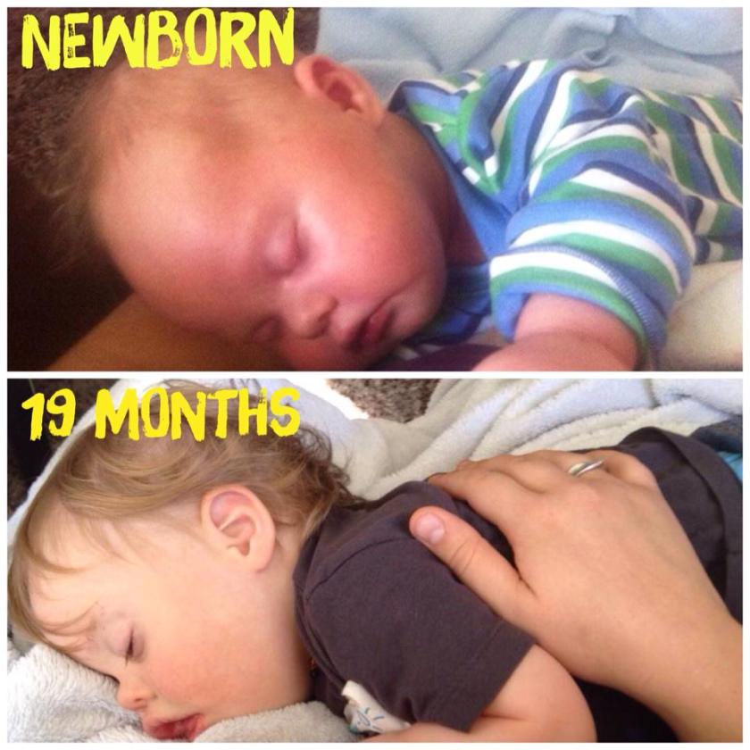 10609196_10152383504114372_1286216787_n