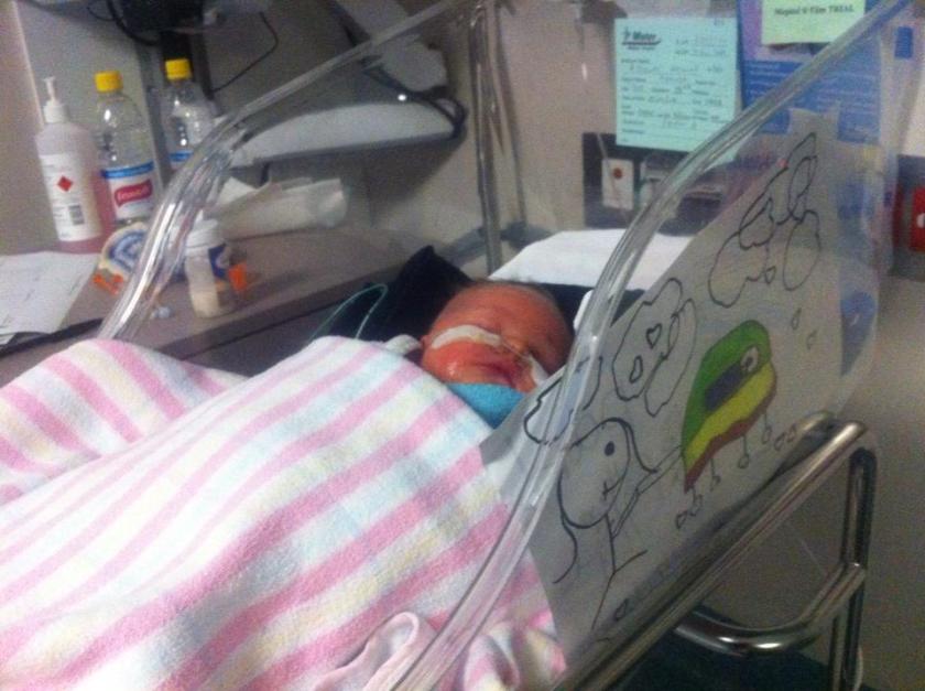 72857_10151236190664372_885080443_n